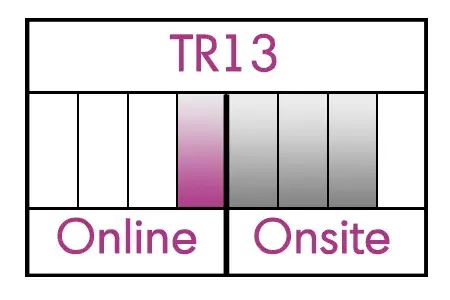 inset_tr13