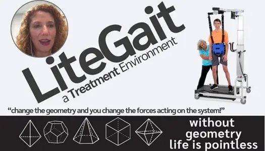LiteGait Therapy Clinical Foundation and Demonstration           