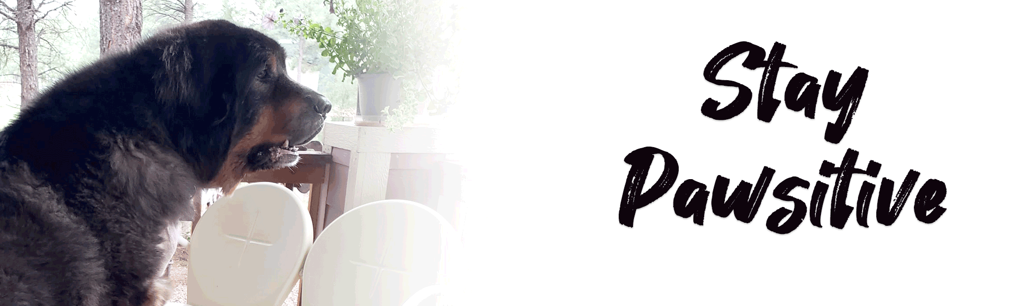 default